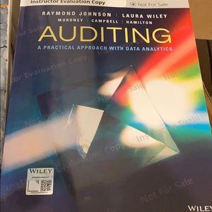 Auditing A Practical Approach 9781119401742